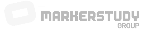 Markerstudy horrozontil logo